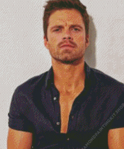 The Actor Sebastian Stan Diamond Painting