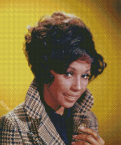 The Actress Diahann Carroll Diamond Painting