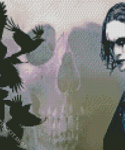 The Crow Skull Diamond Painting