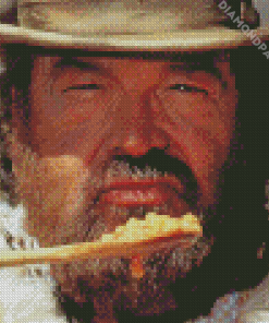 Western Bud Spencer Diamond Painting