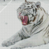 White Siberian Tiger Diamond Painting