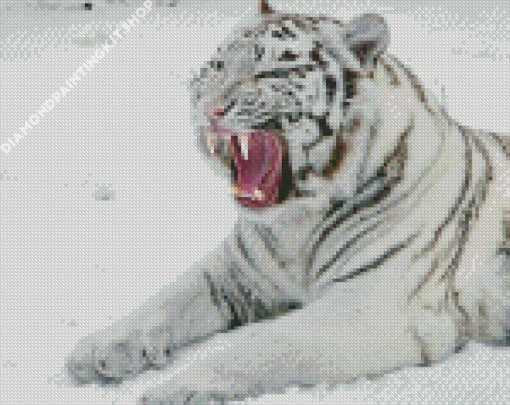 White Siberian Tiger Diamond Painting