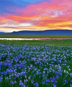 Wild Blue Iris Field Diamond Painting