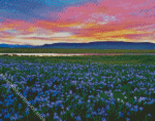 Wild Blue Iris Field Diamond Painting