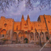 Avignon Palais Des Papes Diamond Painting