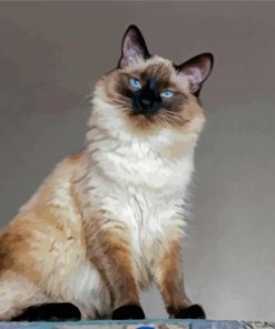 Balinese Cat Diamond Painting