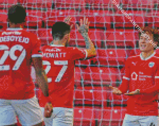 Barnsley Football Club Players Diamond Painting