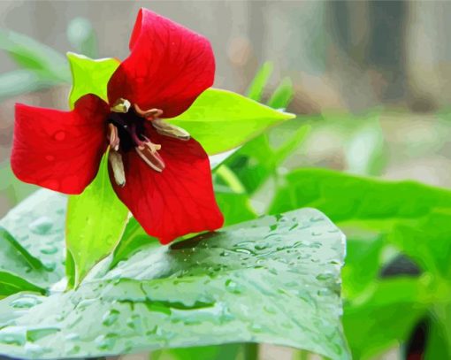 Beautiful Trillium Flower Diamond Painting