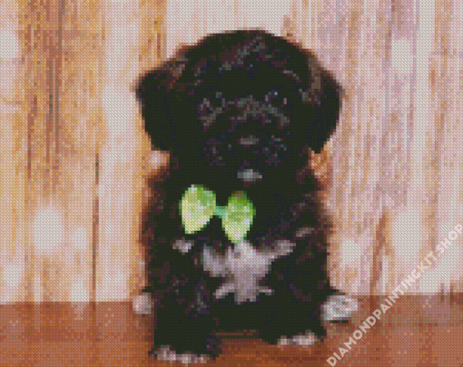 Black Shorkie Dog Diamond Painting