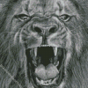 Black And White Lion Roaring Art Diamond Painting