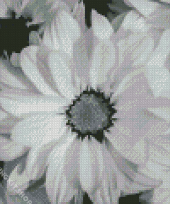 Black And White Flowers Diamond Painting