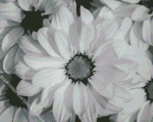 Black And White Flowers Diamond Painting