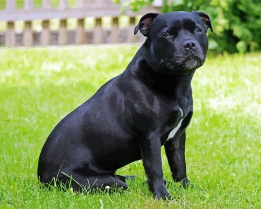 Black Staffy Diamond Painting