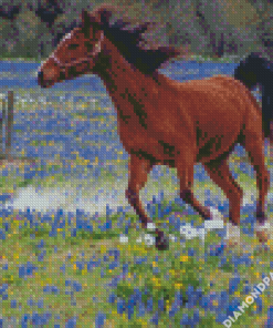 Bluebonnets And Horse Diamond Painting