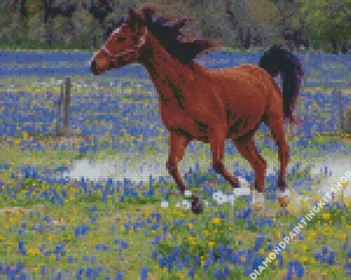 Bluebonnets And Horse Diamond Painting