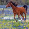 Bluebonnets And Horse Diamond Painting