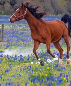 Bluebonnets And Horse Diamond Painting