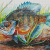 Bluegill Fish Art Diamond Painting