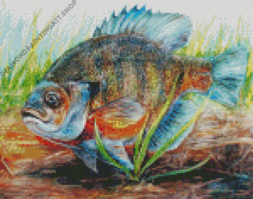 Bluegill Fish Art Diamond Painting