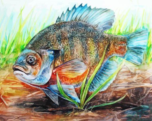 Bluegill Fish Art Diamond Painting