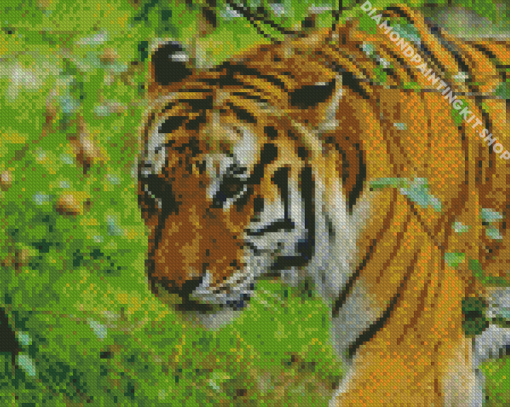 Bronx Zoo Diamond Painting