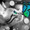 Butterfly On Cat Diamond Painting