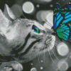 Butterfly On Cat Diamond Painting