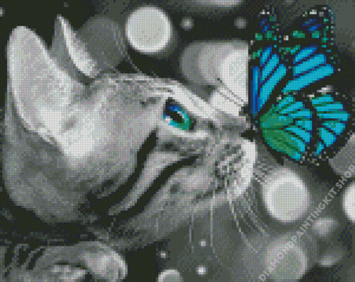 Butterfly On Cat Diamond Painting