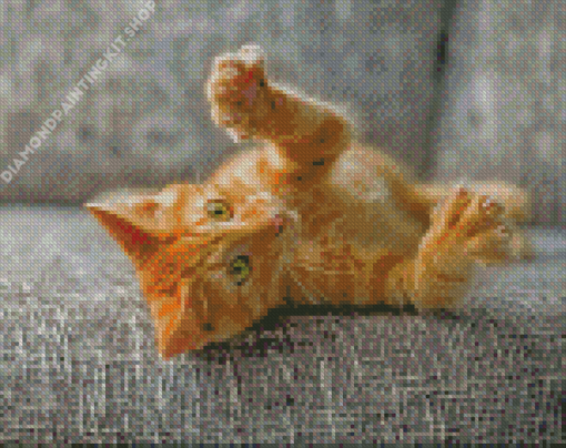 Cat With Claw Out Diamond Painting