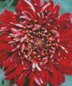 Chrysanthemums Chinese Flower Diamond Painting