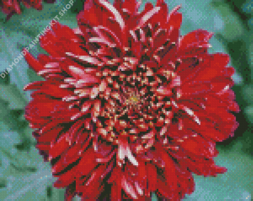 Chrysanthemums Chinese Flower Diamond Painting