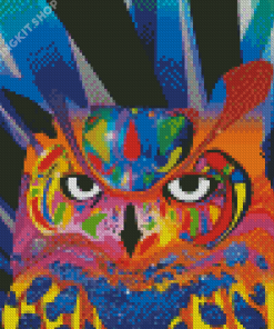 Colorful Abstract Owl Diamond Painting