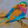 Colorful Lilac Breasted Bird Diamond Painting