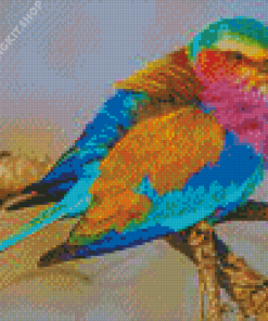 Colorful Lilac Breasted Bird Diamond Painting