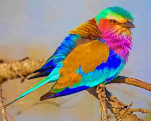 Colorful Lilac Breasted Bird Diamond Painting