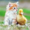 Duck And Cat Animals Diamond Painting