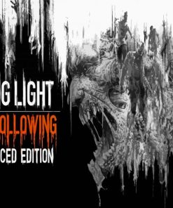 Dying Light Video Game Poster Diamond Painting