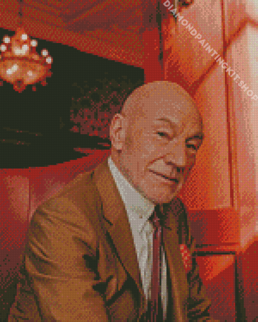 English Actor Patrick Stewart Diamond Painting