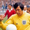 Football Player Gordon Banks Diamond Painting