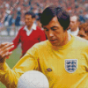 Football Player Gordon Banks Diamond Painting