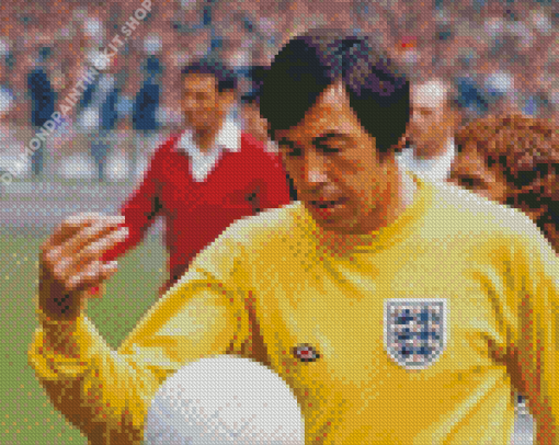 Football Player Gordon Banks Diamond Painting