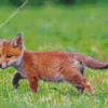 Fox Cub Diamond Painting