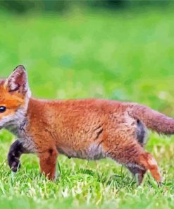 Fox Cub Diamond Painting