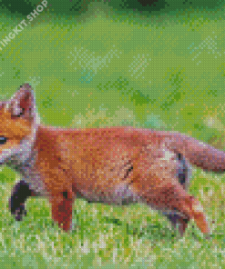 Fox Cub Diamond Painting