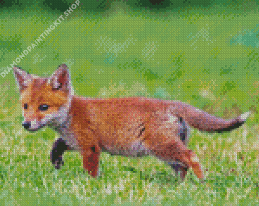 Fox Cub Diamond Painting