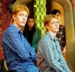 Fred Et George Weasley From Harry Potter Diamond Painting