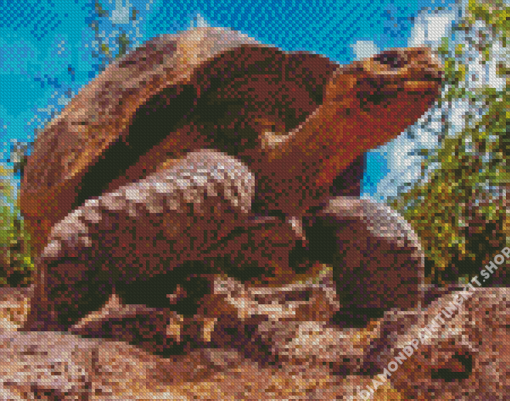 Giant Turtle Reptile Diamond Painting