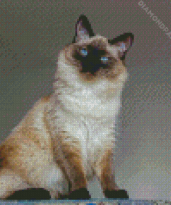 Balinese Cat Diamond Painting