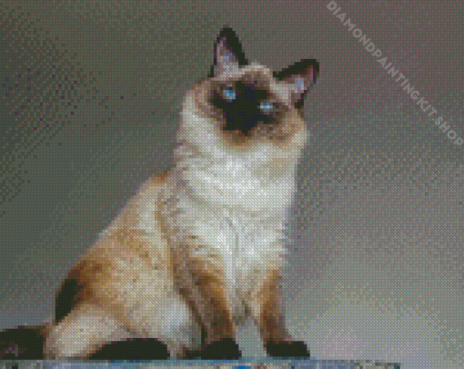 Balinese Cat Diamond Painting