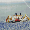 Hermit Crab Animal Diamond Painting